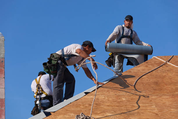 Best Flat Roof Repair Services  in Bridgeport, AL