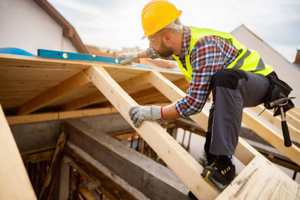 Best Roof Gutter Cleaning  in Bridgeport, AL
