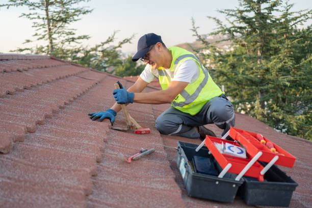 Best Storm Damage Roof Repair  in Bridgeport, AL